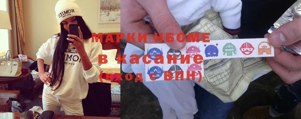 индика Арсеньев