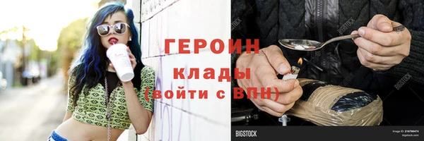 индика Арсеньев