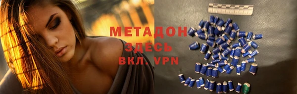 индика Арсеньев