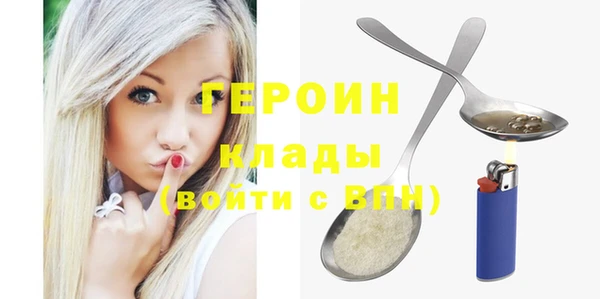 индика Арсеньев