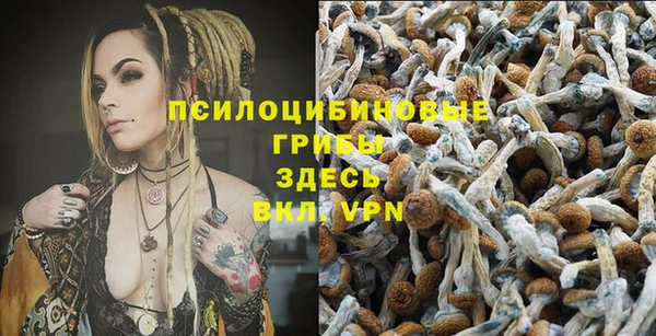 индика Арсеньев