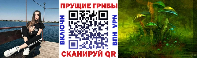 Галлюциногенные грибы MAGIC MUSHROOMS  где найти наркотики  Саянск 